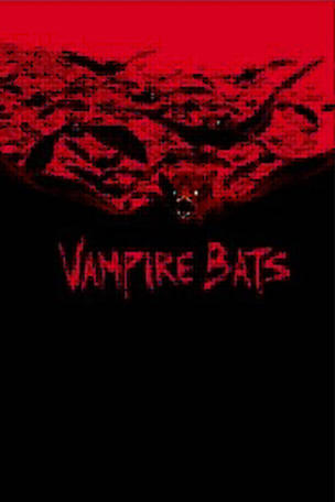 Vampire Bat