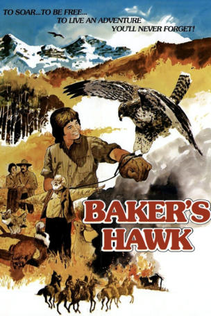 Baker's Hawk