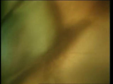 Cult - She Sells Sanctuary